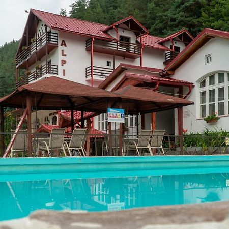 Pensiunea Alpin Paltinis Exterior photo