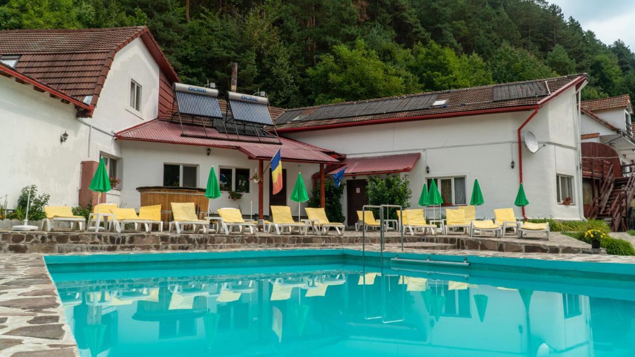 Pensiunea Alpin Paltinis Exterior photo
