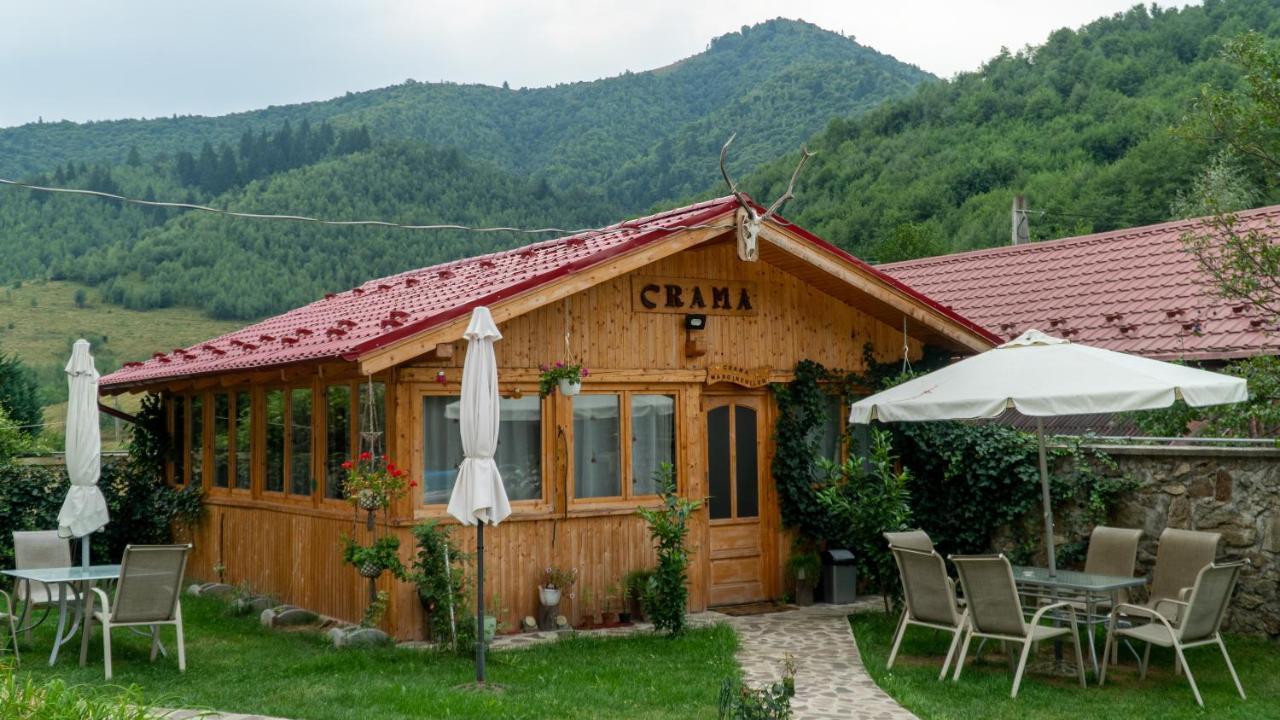 Pensiunea Alpin Paltinis Exterior photo