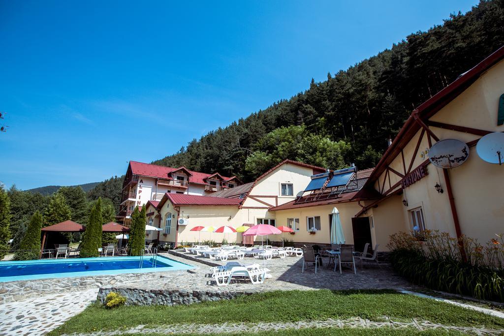 Pensiunea Alpin Paltinis Exterior photo